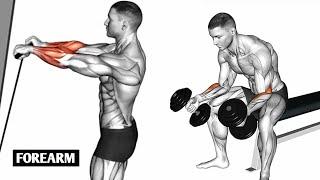 Get Veiny & Thick Forearms with This Gym Workout  (100% Results)