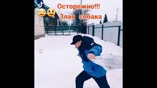 Осторожно! Злая собака. Прикол!