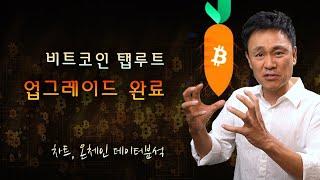 비트코인 탭루트 업데이트 완료, 고래들의 움직임, 차트 온체인데이터 분석