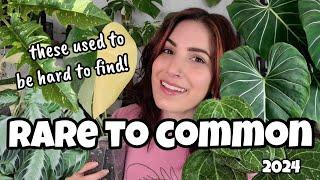 10 Rare Plants That Are Now Common!  don't spend money on these Monstera, Philodendron, Hoya + more