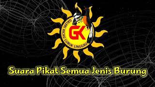 Suara Pancingan Pikat Semua Jenis Burung, Di Jamin Ampuh Mengundang Burung Untuk Mendekat.