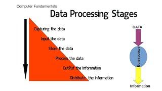 Data Processing | Data Processing stages