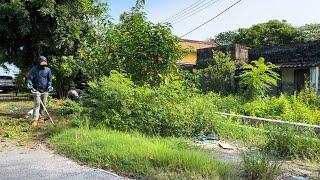 Help suburban residents clean sidewalks and mow front yards of abandoned homes