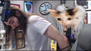 Charlie SITS ON KITTEN Live On Stream