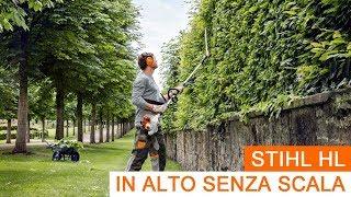 Tosasiepi Stihl Allungato