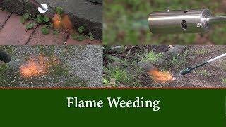 Flame Weeding Comparing the Weed Dragon and the Hot Devil Gas Flame Weeders.