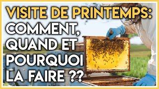 Visite de printemps : comment, quand et pourquoi la faire ???