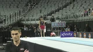 Yul Moldauer  - Vault  - 2024 Xfinity US Championships  - Senior Men Day 1