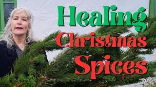 Healing Christmas Spices