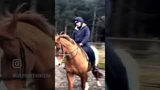 Riding my besties horse !Lesson vlog coming soon …. #horse #equestrian #horsefan  #lesson #riding