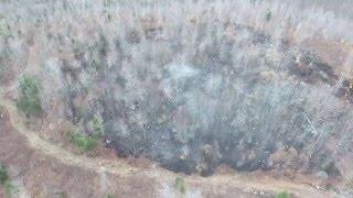 Forest Fire from Drone Perspective