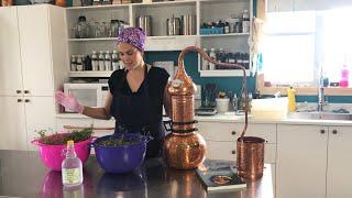Distilling Coriander in a Copper Alembic
