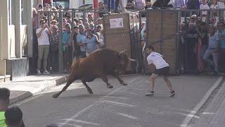 Nava del Rey 2024 Toros del la Funcion