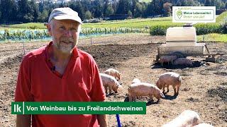 Von Weinbau bis zu Freilandschweinen