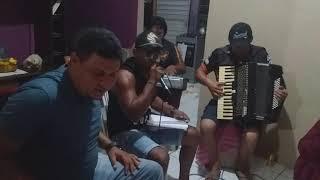 Banda forrozão arrocha nelas