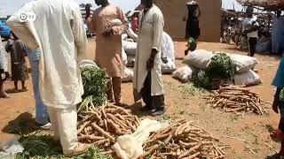 Bunkasar kasuwar rogo a Sokoto