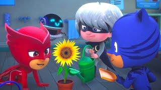 PJ Masks get turned into Babies!  PJ Masks Official