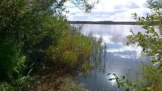 Naturzauber - Bäume und Landschaft am See