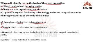 Science Booster 7 chapter 1