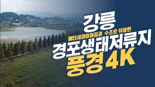 【풍경tv】강릉 경포생태저류지의 초가을 풍경 4k