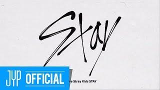 Stray Kids FANDOM NAME "STAY"