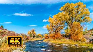 Autumn in Colorado - Colorado's best Aspen Viewing. 4K