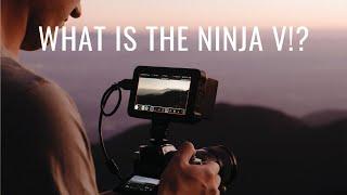 What is the Atomos NINJA V!? a full beginners explanation + a review for buyers