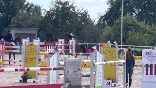 LORDIN (8yo Lord Pizarro) 10.07.22 Dettingen Grand Prix S* 140 cm