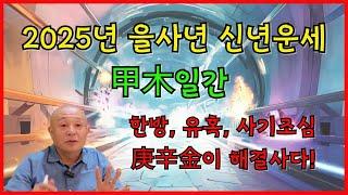 2025년 을사년 신년운세 甲木일간 한방, 유혹, 사기조심!