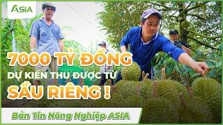 Thu hoạch hàng nghìn tỷ đồng nhờ sầu riêng| Sinh Học Châu Á