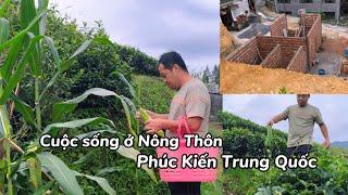 Cuộc Sống Thường Ngày Ở Nông Thôn Phúc Kiến Tự Cung Tự Cấp.