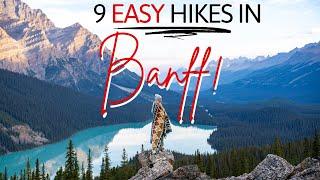 Best Hiking in Banff National Park(2023):  9 INCREDIBLE Easy Hikes in Banff!