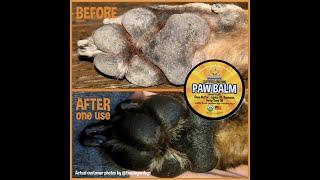 The cure for dry and cracked paws!