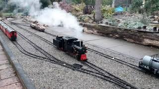 Echtdampf mit kleiner Kohle, Live Steam, Real steam with little coal