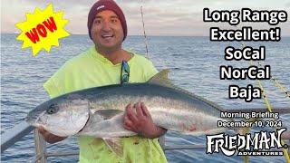 Tanner, Cortez Banks yield yellowtail and huge lingcod, excellent long range fishing, stripers too