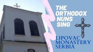 The ORTHODOX NUNS SING (the St Stephen's monastery in Lipovac, Serbia) - subtitled