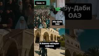 Где ислам — в этих трёх кадрах?