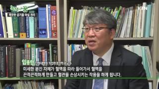 [녹색의 꿈] - 깨끗한 공기를 마실 권리, 숲에서 답을 찾다 / YTN DMB