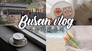 카최몇? 커피덕후의 부산 카페투어 브이로그 Busan Vlog CAFE TOUR️