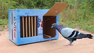 Best Quick Bird Trap Using Vital Cardboard Box And Woods - How To Make Bird Trap