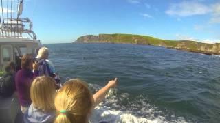 Boat Trip Around the Oa | The Isle of Islay