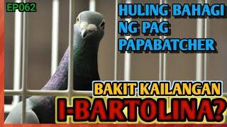 TIPS PARA SURE BATCHER NA, IWAS OVERFLY PA AT HINDI MADALING MABIBIHAG MGA INAKAY NA KALAPATI NATIN