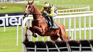 DADDY LONG LEGS kick starts Paul Townend's winning tally at the 2024 Punchestown Festival