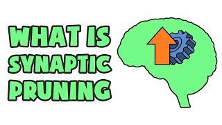 What is Synaptic Pruning | Explained in 2 min