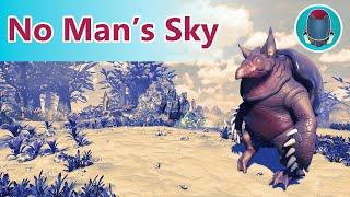 [FR] [PC] No Man's Sky 5.03 / 3xperimental /Expedition 14/  On fini tranquille ?