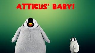 Atticus' Baby