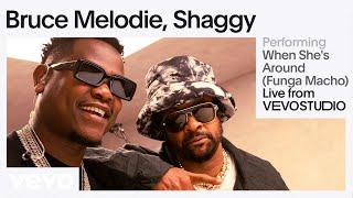 Bruce Melodie, Shaggy - When She's Around (Funga Macho) (Live Session) | Vevo