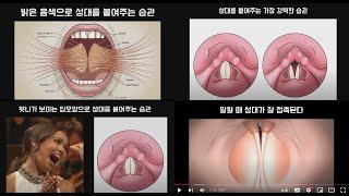 성대를 집중적으로 강화하는 3가지 발성연습