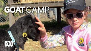 Goat industry introduces Queensland kids to farming through trial camps  | ABC Australia