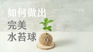 水苔球DIY教學-CLING植琢水苔球材料包